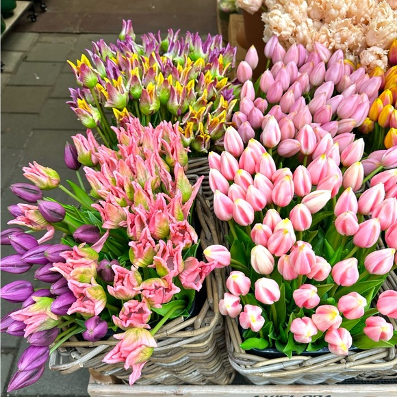 💫Welcome To My Shop💫 - Picture 2 of 6